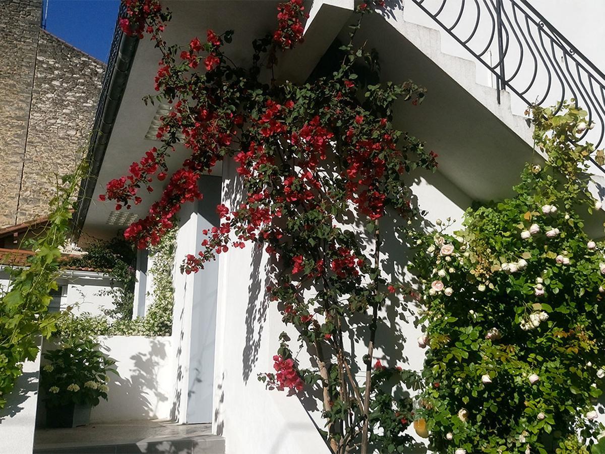 Le Clos Chez Michel 몽펠리에 외부 사진